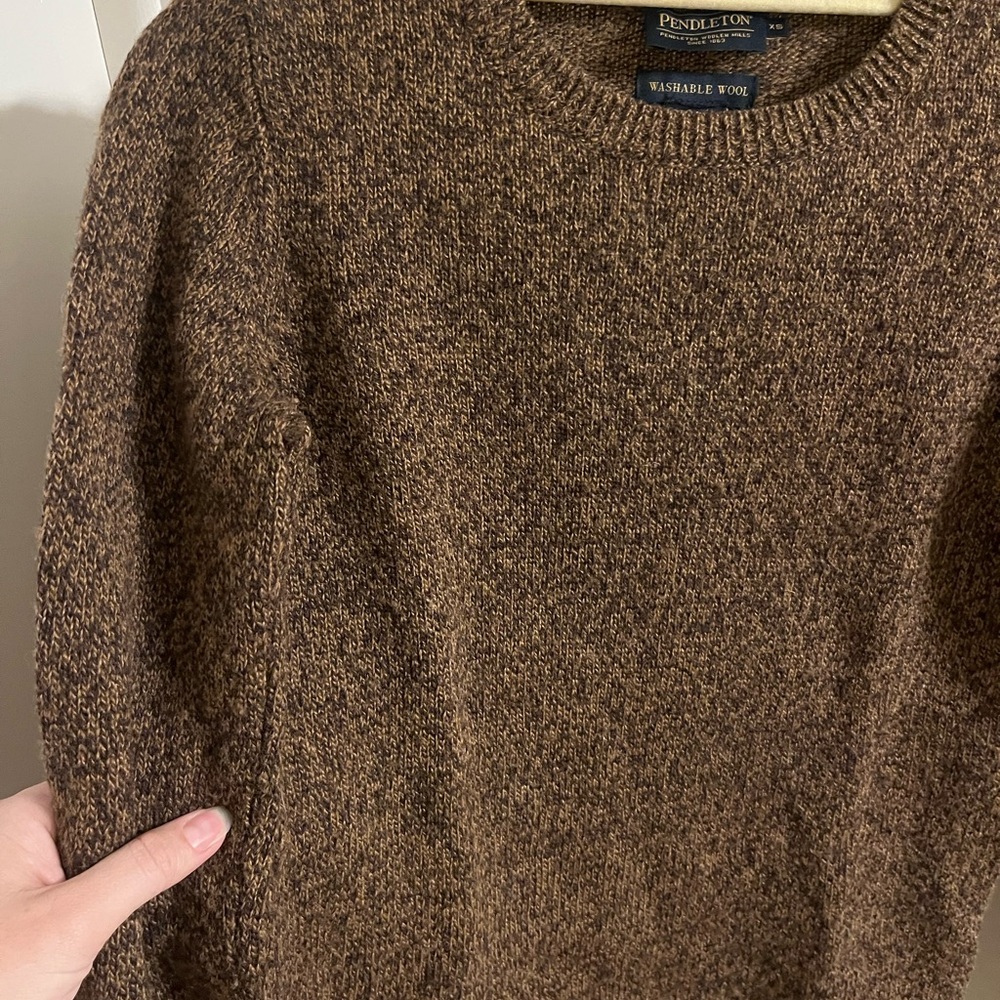 Pendleton Brown Washable Wool Sweater - image 4